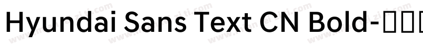 Hyundai Sans Text CN Bold字体转换